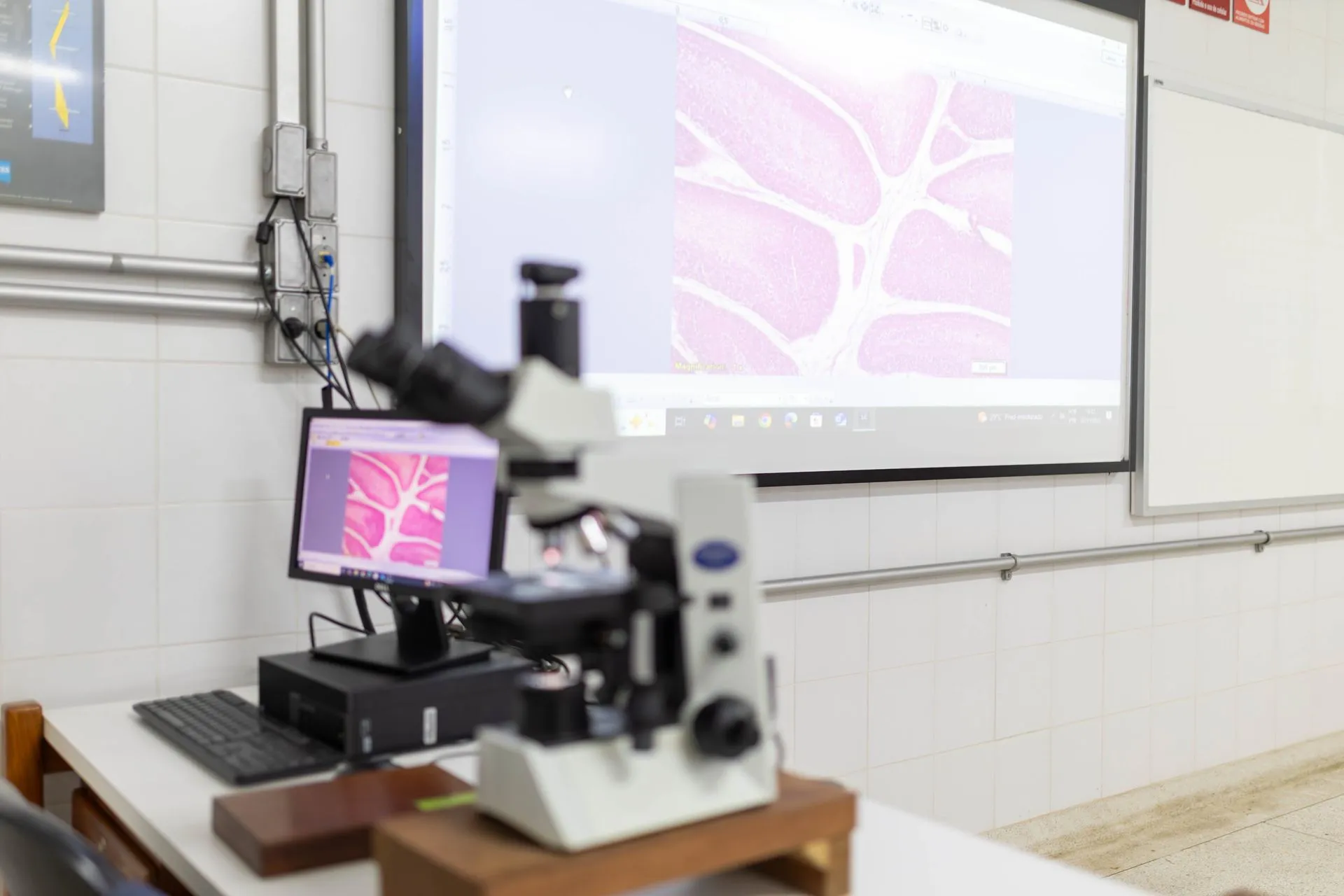 Citopatologia e Embriologia